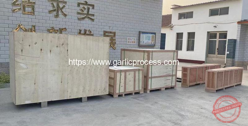 Garlic-Breaking-Peeling-Machine-Delivery-Package-to-Italy-Customer